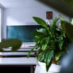 Especialização gratuita em Ensino de Inglês para Crianças abre 150 vagas