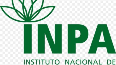 Seleção para Mestrado em Agricultura no Trópico Úmido do Inpa oferece 12 vagas