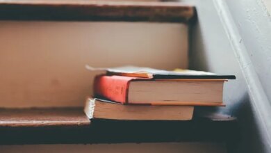 Inscrições abertas para a especialização gratuita em Educação: Ciência, Tecnologia e Sociedade 2026