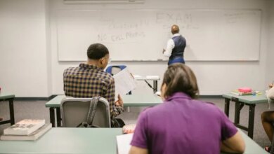 UNESP abre vagas em mais de 40 cursos gratuitos de mestrado e doutorado