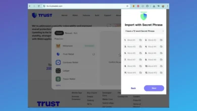 Ataque à Trust Wallet no Chrome gera prejuízo de R$ 33 milhões e alerta usuários