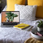 Especialização gratuita online em Dados e Sistemas de Informação para o Sistema Único de Saúde abre 100 vagas