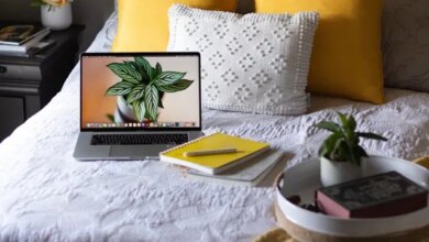 Especialização gratuita online em Dados e Sistemas de Informação para o Sistema Único de Saúde abre 100 vagas