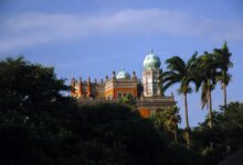 Fiocruz abre 4249 vagas na especialização gratuita