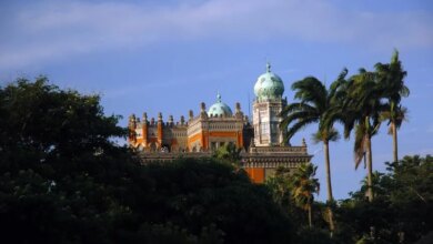 Fiocruz abre 4249 vagas na especialização gratuita