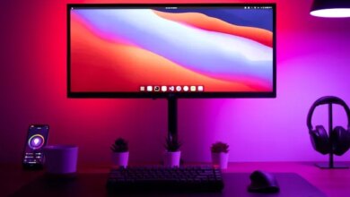 IFG abre 350 vagas em especialização gratuita totalmente a distância em Educação, Meio Ambiente e Sustentabilidade