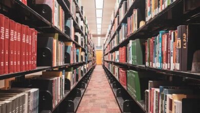 IFG abre vagas para portadores de diploma que querem fazer um novo curso gratuito