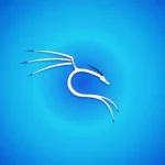 Kali linux 2025.4: novas ferramentas, Wayland e destaques