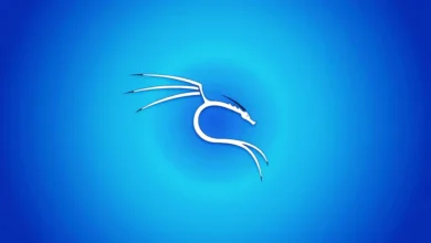 Kali linux 2025.4: novas ferramentas, Wayland e destaques