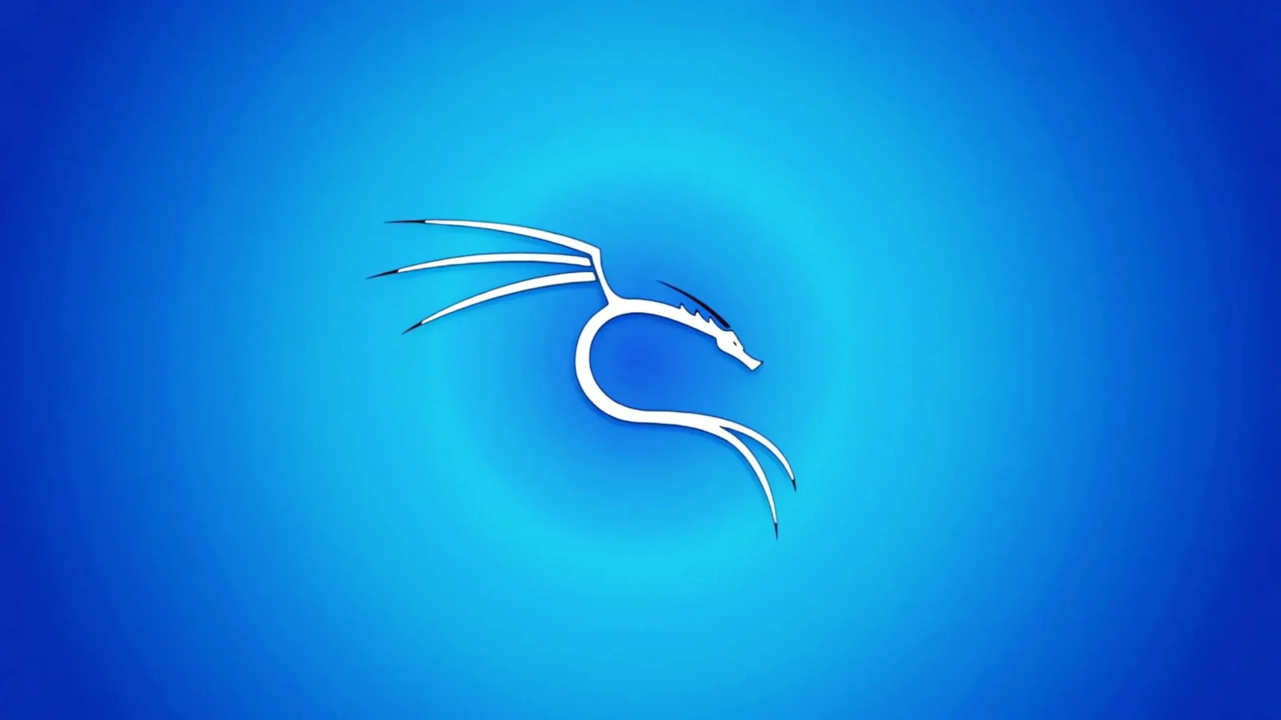 Kali linux 2025.4: novas ferramentas, Wayland e destaques