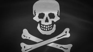 MKVCinemas fechado pela ACE: Entenda a ação global antipirataria