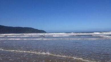 Terminam dia 29/12 as inscrições para os concursos de Bertioga