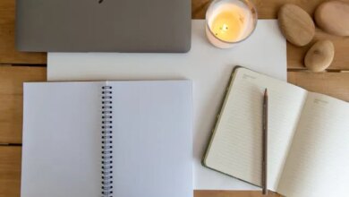 Cursos gratuitos de mestrado e doutorado em Educação abrem vagas para o 2º semestre