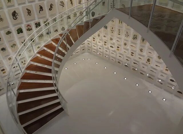 Fundação Itaú abre inscrições para mestrado profissional gratuito 2026 com aulas online