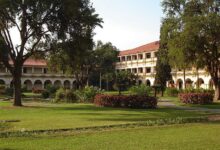 Especialização gratuita da UFRRJ recebe inscrições até 01/02