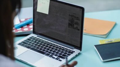 Especialização gratuita em Direitos Humanos, Gênero e Sexualidade poderá ser online ou presencial