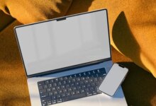 Especialização gratuita em Ecopedagogia abre 150 vagas