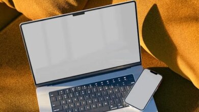 Especialização gratuita em Ecopedagogia abre 150 vagas