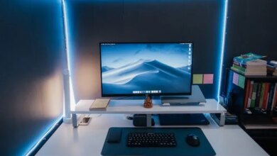 Formação de Mediadores Pedagógicos, online e gratuita, abre 80 vagas