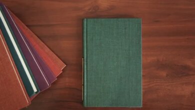 Inscrições abertas para a especialização gratuita em Educação Básica e Profissional