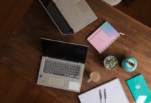 Inscrições abertas para especialização gratuita online em Educação em Direitos Humanos