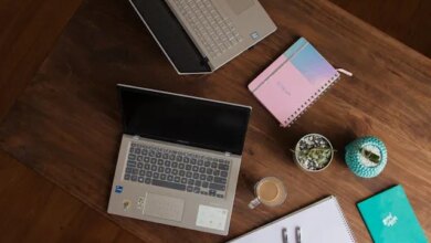 Inscrições abertas para especialização gratuita online em Educação em Direitos Humanos