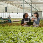 Programa de Pós-Graduação em Produção Vegetal na UFMG em Montes Claros recebe inscrições até 2 de novembro