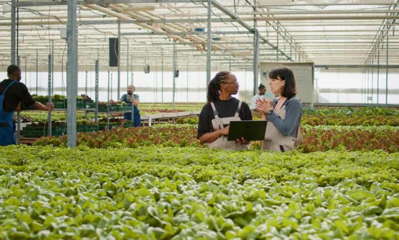 Programa de Pós-Graduação em Produção Vegetal na UFMG em Montes Claros recebe inscrições até 2 de novembro