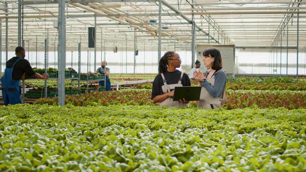 Programa de Pós-Graduação em Produção Vegetal na UFMG em Montes Claros recebe inscrições até 2 de novembro