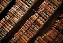 UFPB abre 62 vagas em cursos gratuitos de mestrado e doutorado em Linguística