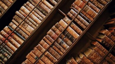 UFPB abre 62 vagas em cursos gratuitos de mestrado e doutorado em Linguística