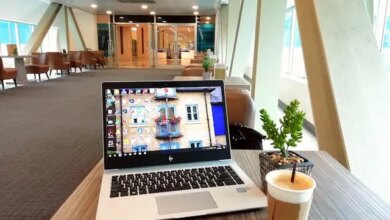 Especialização gratuita a distância em Inclusão e Diversidade na Educação abre 150 vagas