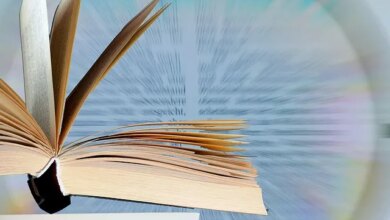 Mestrado profissional da UFMG em Gestão de Serviços de Saúde divulga processo seletivo