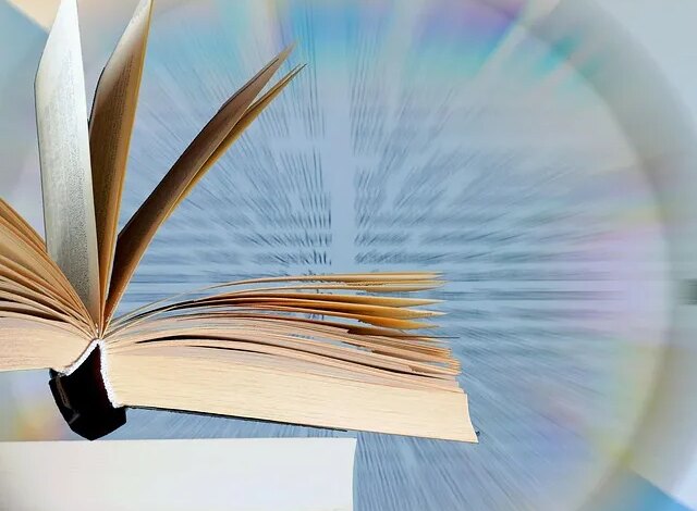 Mestrado profissional da UFMG em Gestão de Serviços de Saúde divulga processo seletivo